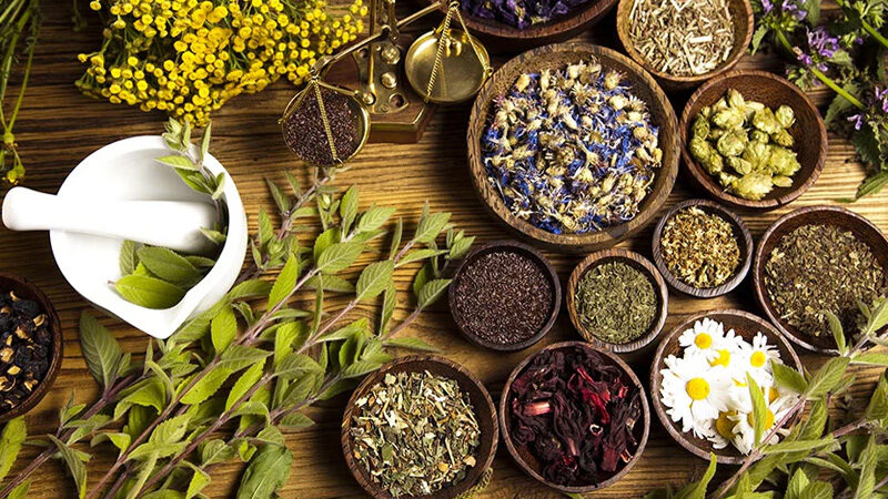 Indonesian-Herbal-Ingredients-Supplier-