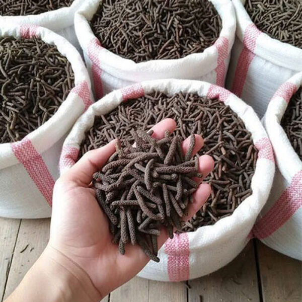 Long Pepper